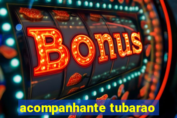 acompanhante tubarao